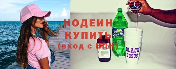 индика Богородск