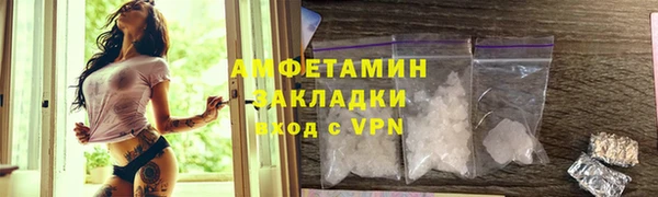 индика Богородск