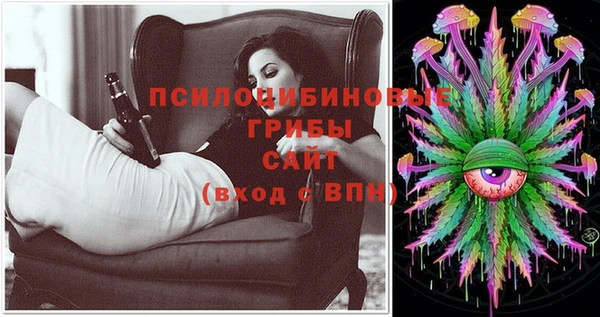 стаф Белокуриха