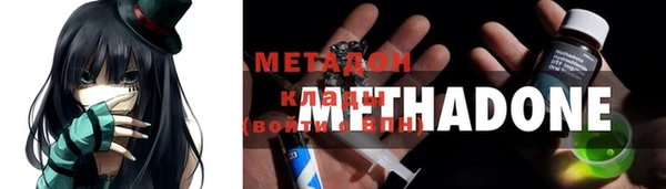 индика Богородск