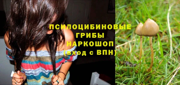 дживик Белоозёрский