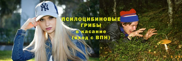 стаф Белокуриха