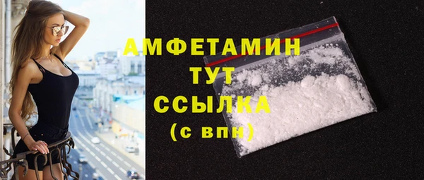 индика Богородск