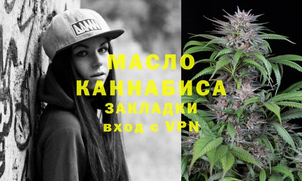 индика Богородск