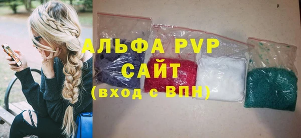 индика Богородск